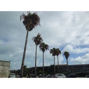 Meet your Posher, Katrina